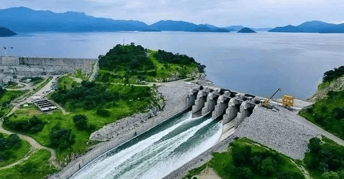 Ethiopia's GERD Reservoir Yields Over 10,700 Tons of Fish in First Harvest