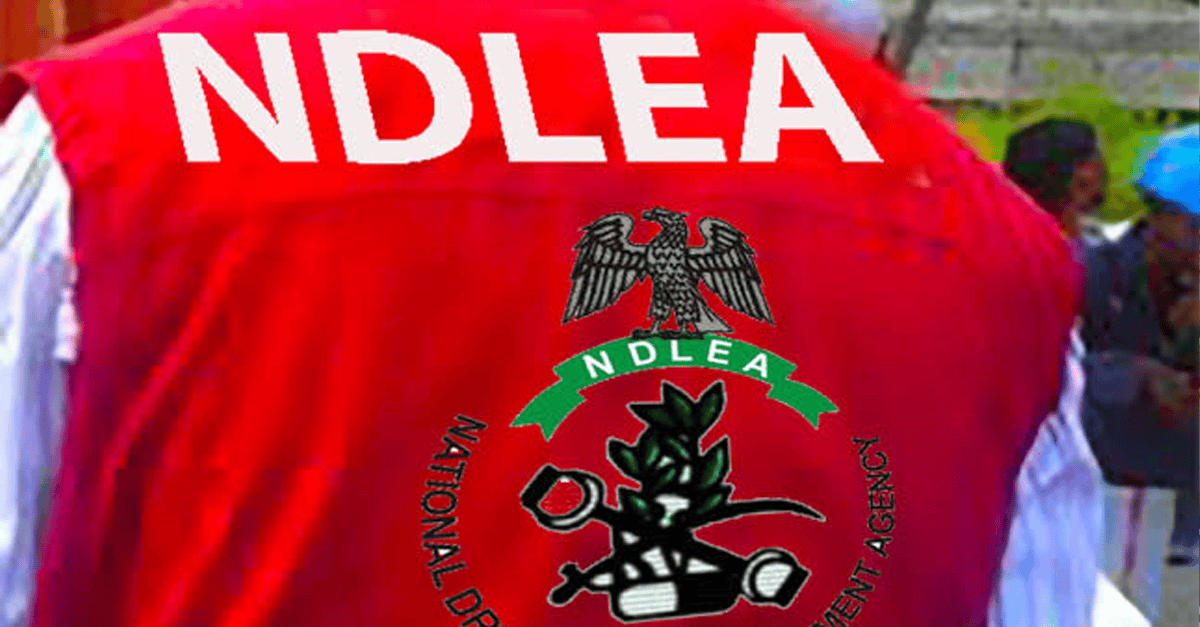 NDLEA officers inspecting seized cocaine hidden in a wooden mortar and backpack