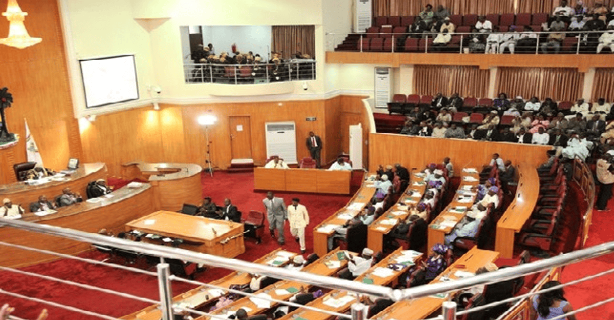 Niger Assembly's Missing Website Undermines Democracy