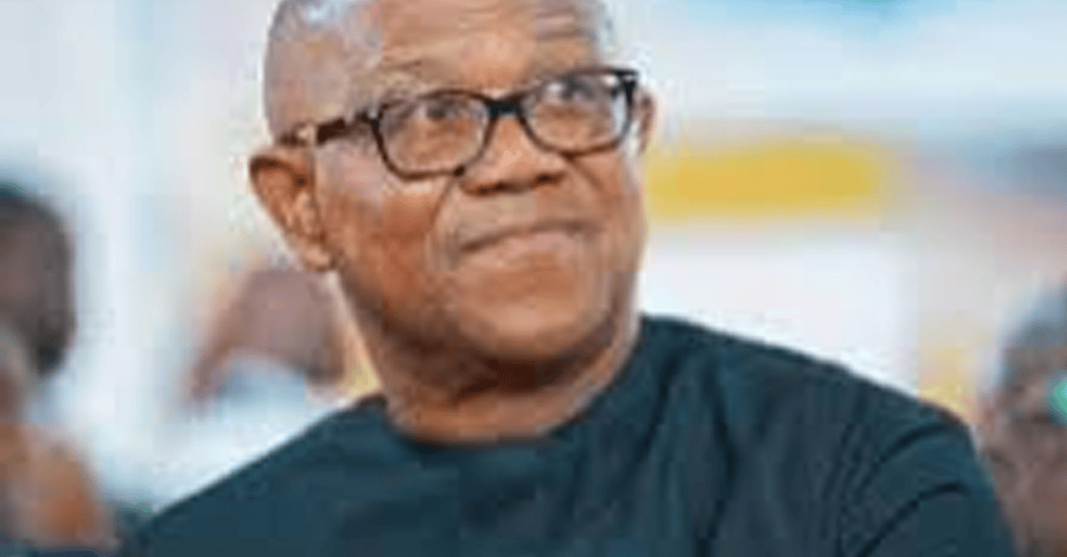 Peter Obi tells EFCC: Go after big corruption, not social media critics