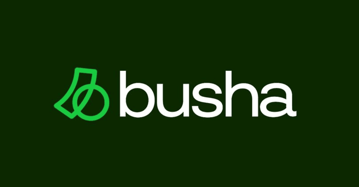 Busha logo displayed on a computer screen in a modern office